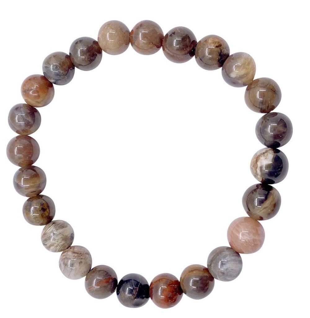 8MM Petrified Wood Bracelet